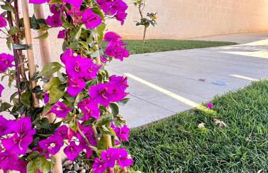 Villa Afrodite - Foto 12