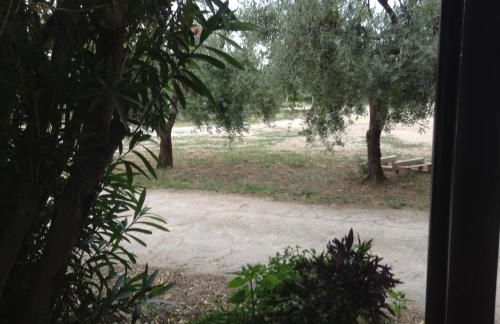 Agriturismo Santo Stefano - Foto 21