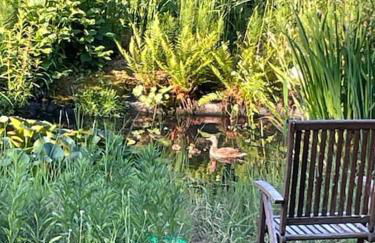 Moderne Ferienwohnung in Waldrandlage mit einem Hauch von Luxus - Foto 34