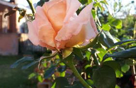 Casa di Giulia (Bambini gratis fino a 6 anni) - Foto 38