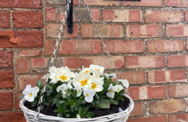 BeRo Terrace, only a minutes walk to the beach! - Foto 42