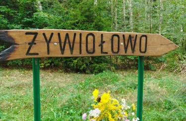 Żywiołowo - domki w stylu stodoły z placem zabaw i stawem - OGIEŃ - Foto 17