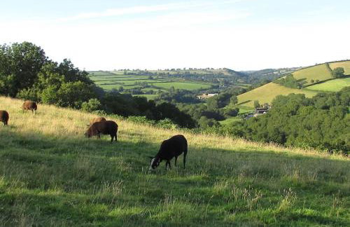 Penlan Farm Cottage - Foto 11