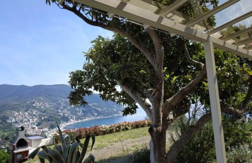 Villa Venino - Foto 10