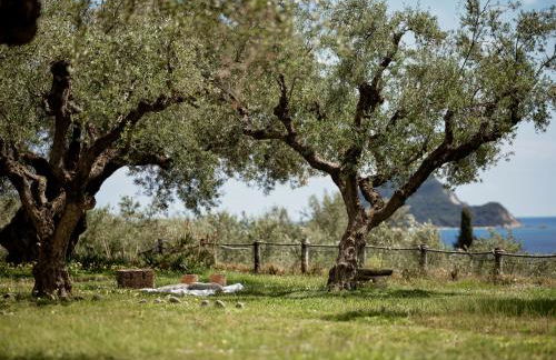 Leeda's Village - Photo 22