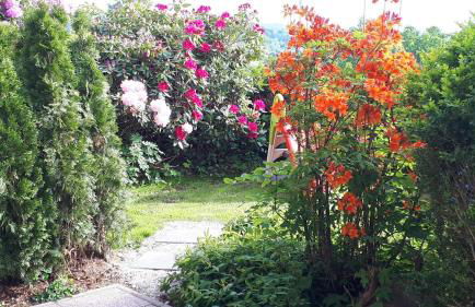 FW Scheifele - Foto 19