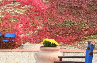 Agriturismo & Winery Il Bacio - Foto 37