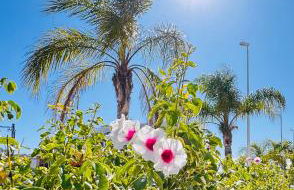 Valencia Sol y Playa - Foto 43