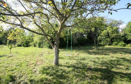 Holiday house with a parking space Sinozici, Central Istria - Sredisnja Istra - 11629 - Photo 5