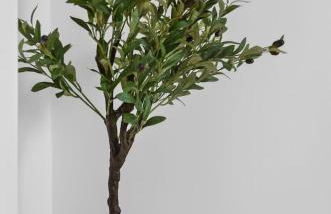 Troon Golf by the Sea - Foto 19