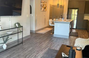 Large Buckhead modern suite - Foto 21