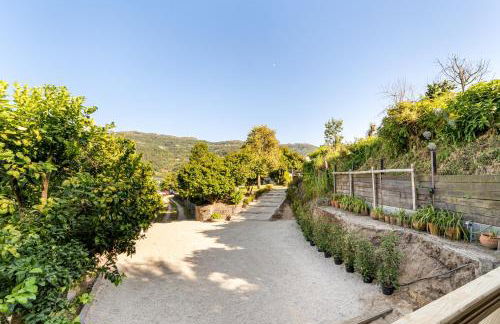 Chalé da Caniçada By Sé Apartamentos - Foto 39