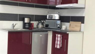 Appartement T1 Hyper Centre place de la Victoire - Foto 4