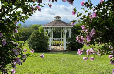 Nanas Lil House - Foto 6