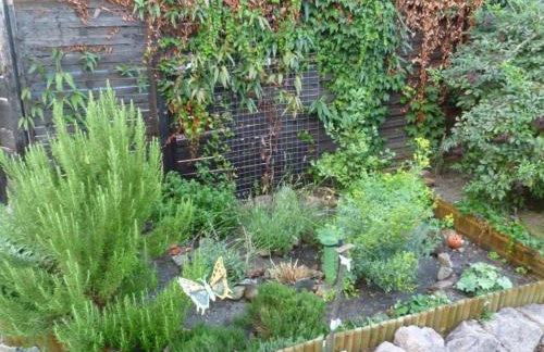 Auszeit Landleben - Photo 13