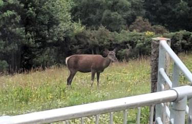 Stapehead Farm - Foto 15