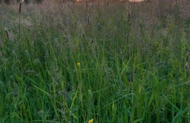 Ferienwohnung-Rotmoosblick-direkt-am-Rande-unberuehrter-Natur - Foto 27