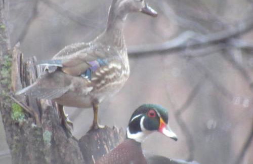 Retreat in a Stunning House - Foto 20