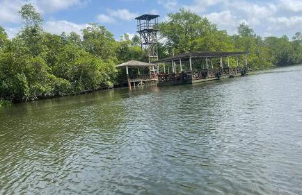 COP30 - Belém - Refúgio perfeito em Benfica-Pará - Photo 11