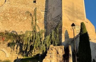 La Petite Rive - Les Tilleuls - Foto 25