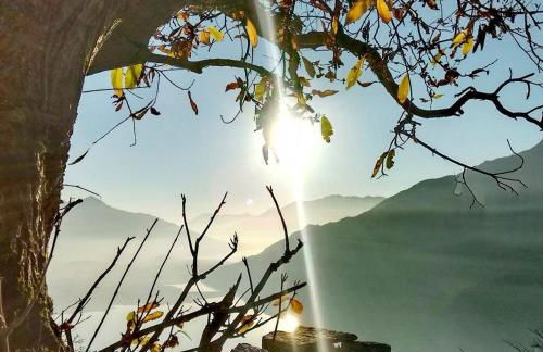 Ale's House - Foto 24