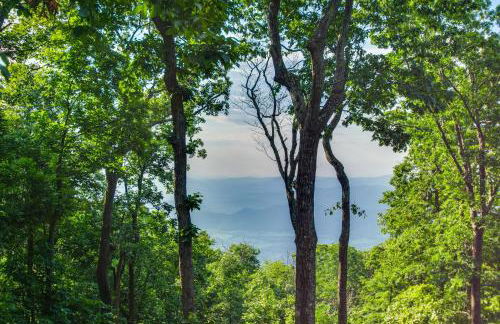 Serene Hideaway with Views, 1 Mi to Hike and Ski! - Foto 27