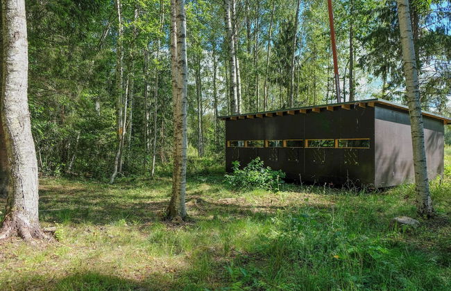 Bear Watching and Photography Hide - Foto 3