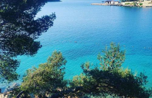 Apartment Zeljko - Photo 4