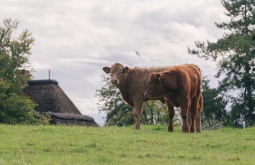 "Reetland" - Haus Hartwig - Photo 72