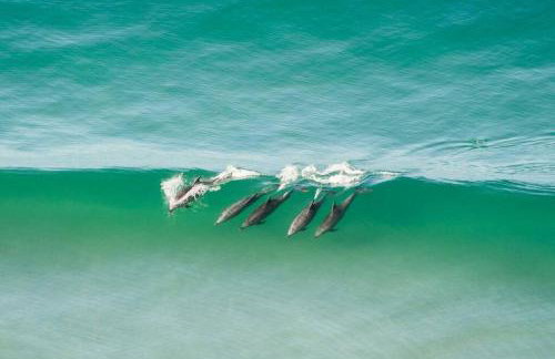 Private Room3 Own Entry Shared Bath One Guest Walk to UCSD - Foto 9