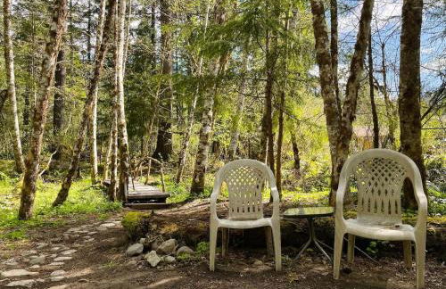 Mt Rainier Little Green Cabin On Big Creek! - Foto 23