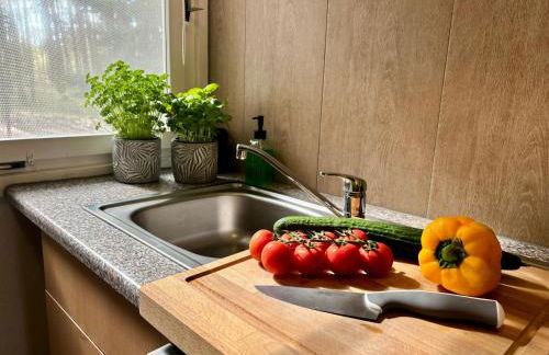 Bungalow-Jessern Ferienhaus im Grünen mit Seeblick - Foto 33