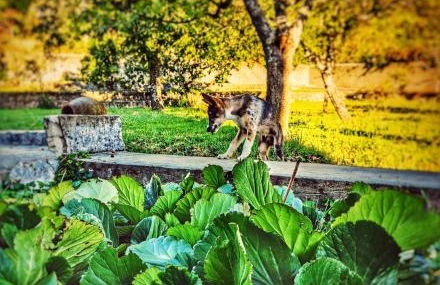 Casa El Rozado - Photo 11