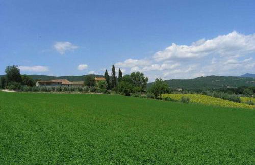 Appartamenti con cucina nelle colline toscane - Foto 9