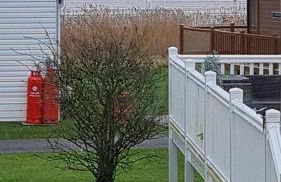 Peaceful Seaside Getaway - Foto 21