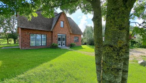 Möwen-Nest - Foto 2