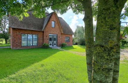 Möwen-Nest - Foto 2