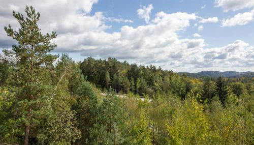 Ferienwohnung Dreiburgenblick - Foto 2