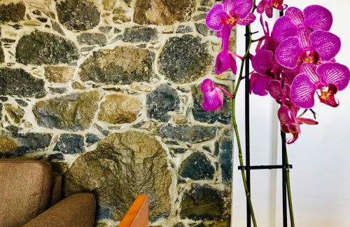 Villa da Bisa with heated swiming pool - Foto 27