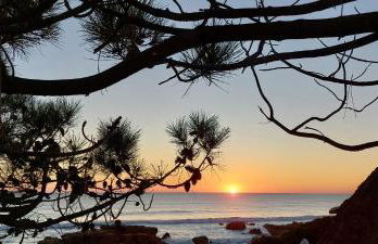 Baia Village - Galé - Albufeira - Foto 19