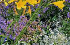 La Dragonne, centre de Bellême, maison entièrement équipée, jardin, vue forêt - Foto 20