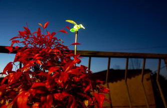 Casa dos arcos - Foto 25