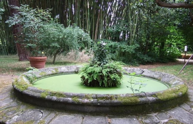 Grandtully Apartments - Glasgow West End - Foto 17