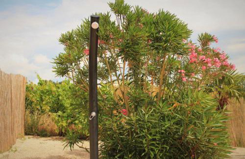 Apartman Robi - Foto 5