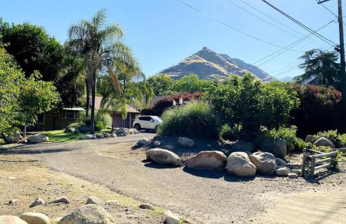 Sequoia Cabin by the River - Photo 40