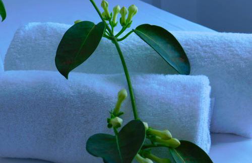 AKTIS MAKRIGIALOS LUXURY APTS - Foto 33