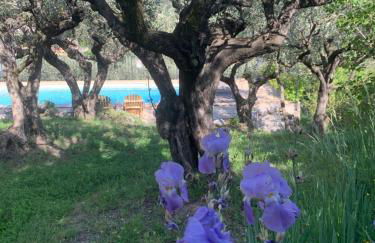 Mas Christiane - Foto 38