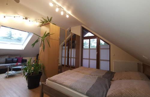 Studio und Apartment auf dem Pferdehof - Foto 9