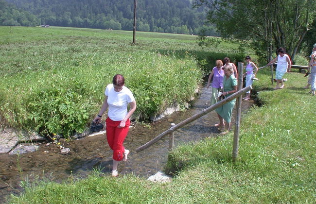 Cozy Holiday Home in Egg near Ski Area - Photo 24