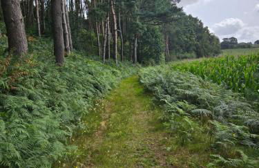 Coqslitscaux - Foto 66